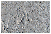 Sacra Sulci Lava
