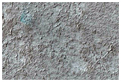 Spider Terrain Not on South Polar Layered Deposits
