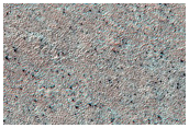 Immature Spider Terrain
