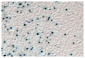 Sample of Possible Spider Terrain
