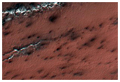 Spider and Other Interesting Topography