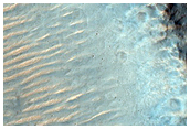 Sinuous Ridge