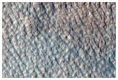Gullies in Crater Wall in Aonia Terra