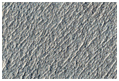 South Mid-Latitude Terrain Sample