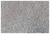 Seasonal Frost Enhancement of Polygon Visibility Near MOC E08-00050