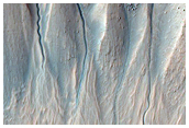 Gullied Crater