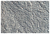 Hrad Vallis