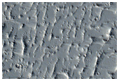 Platy-Ridged Lava
