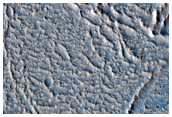 Platy Ridged Surfaces in Echus Chasma
