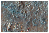 Terra Sirenum Basin