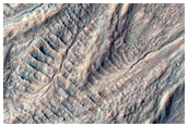 Gullied Crater in Terra Cimmeria