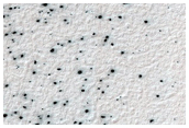 Sample of Possible Spider Terrain