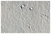 Cerberus Region