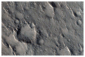 Pitted Cones in Isidis Planitia