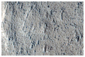 Landforms in Amazonis Planitia