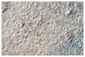 Southern Mid-Latitude Terrain Sample