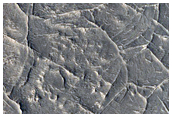 Tangle of Ridges in Nepenthes Mensae Region