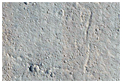 Secondaries from Zunil Crater
