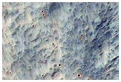 Possible Gullies in Impact Crater