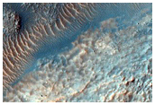 Gullies in Crater in Sirenum Fossae