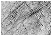 Mid-Latitude Terrain Sample
