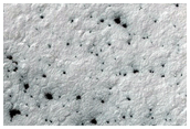 Spiders on Ejecta Blankets
