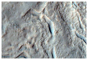 Gullies in Southern Mid-Latitude Crater
