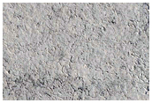 Elysium Planitia Lava
