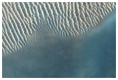 USGS Dune Database Entry Number 0334-520