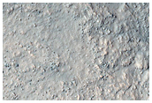 Gullies in Nereidum Montes
