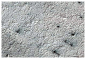 Spiders Not on South Polar Layered Deposits
