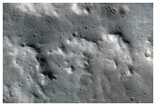 Gullies in Well-Preserved Impact Crater
