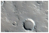 Sample of Southeastern Flank of Elysium Mons
