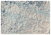 Terrain Sample
