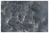 Terrain Sample