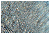 Gullies in Southern Mid-Latitude Crater
