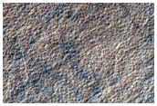 Looking for Gullies
