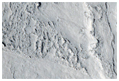 Elysium Planitia

