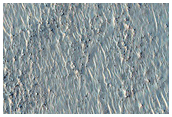 Mid-Latitude Terrain Sample
