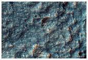 Terrain Sample
