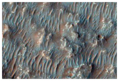 Crater Floor

