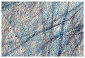 Terrain Sample
