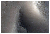 Tractus Fossae
