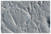 Tharsis Region Flow Margin
