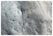 Parallel Ridges on Crater Floor Near Nilosyrtis Mensae