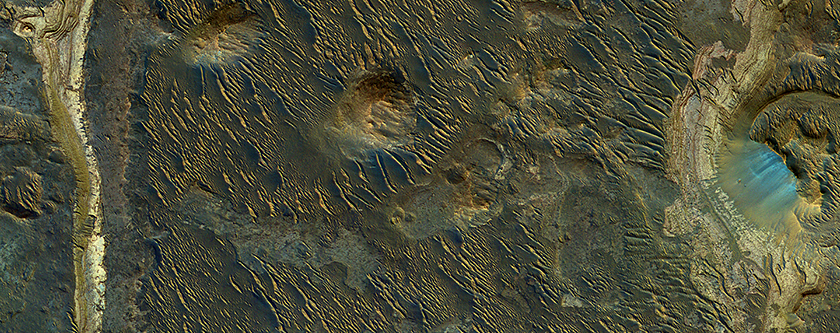 Lakebeds in Holden Crater