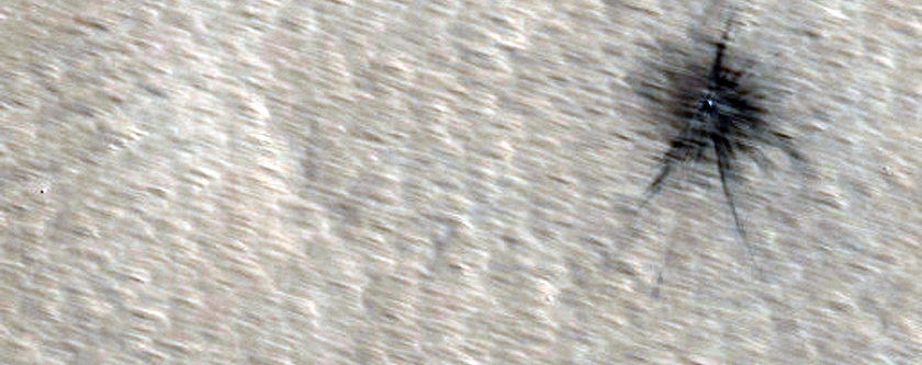 Candidate Recent Impact Site on Pavonis Mons
