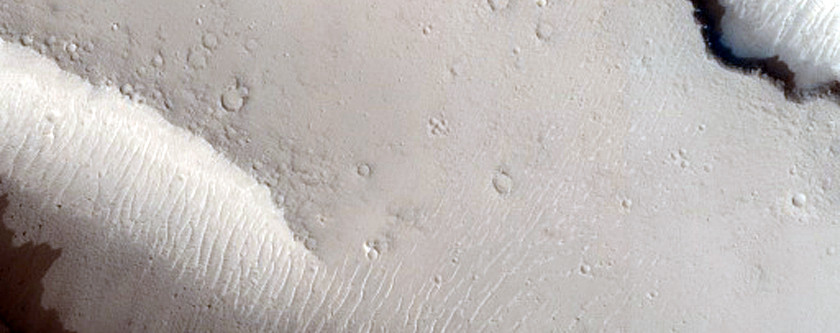 Structure within Cerberus Fossae
