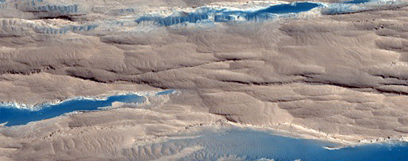 Dark Sediments in the Medusae Fossae Formation