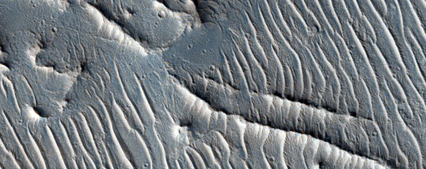 Linear Ridges in Tempe Terra
